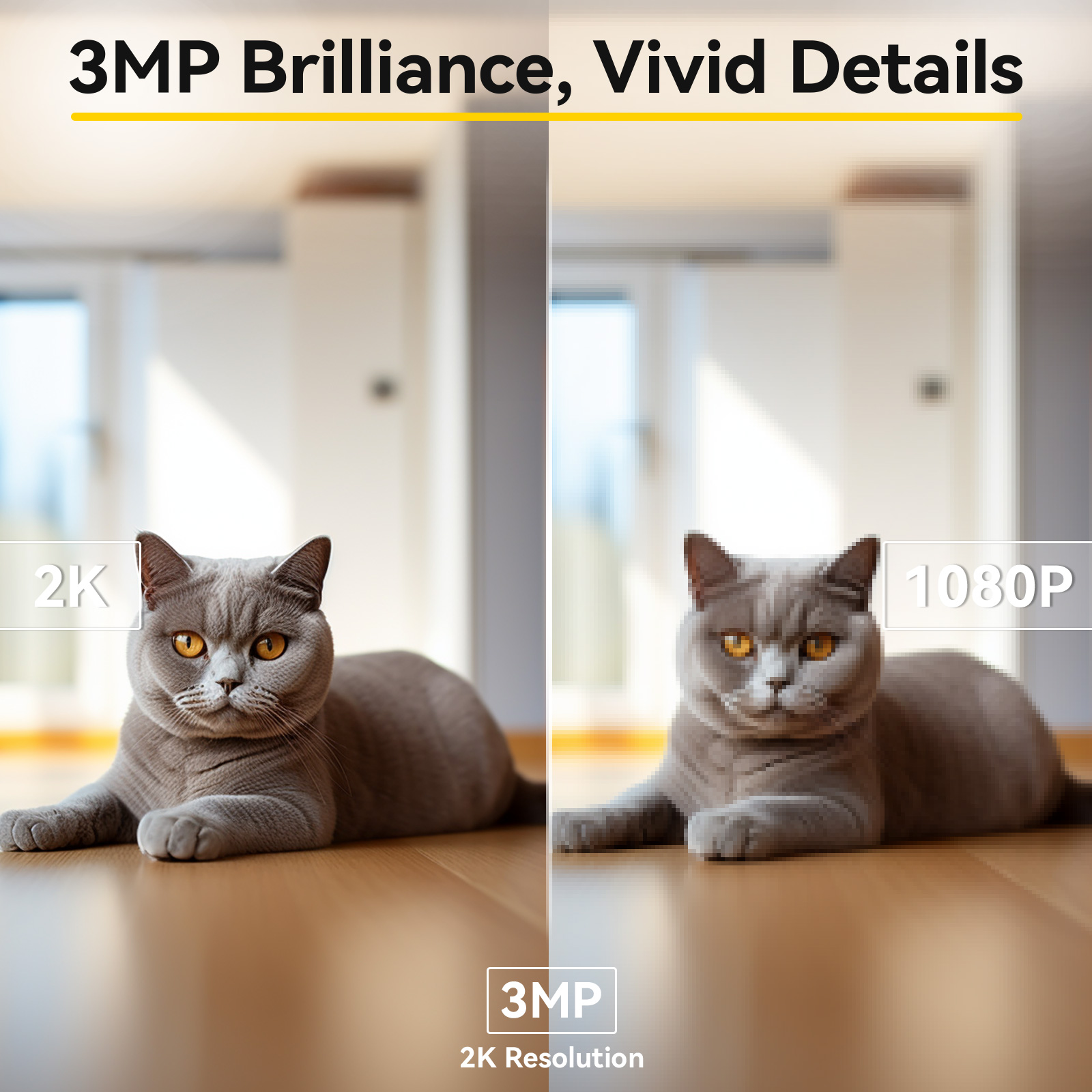 Boykeep 2K ペット犬用カメラ、電話アプリ付き、5G - Eufy Camera E220 のレビューと価格